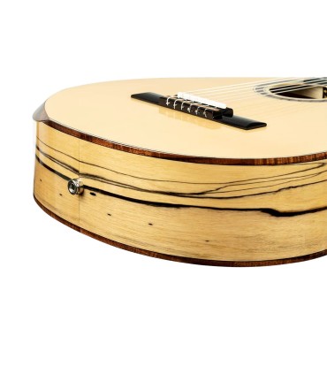 ORTEGA BILLY WATMAN SIGNATURE BYWSM GITARA ELEKTRO-KLASIČNA