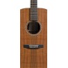 MARTIN D-X1E Koa GITARA ELEKTRO-AKUSTIČNA