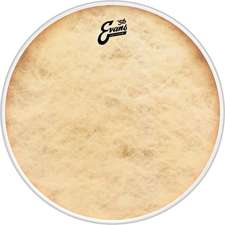 EVANS BD24CT CALFTONE 24" PLASTIKA