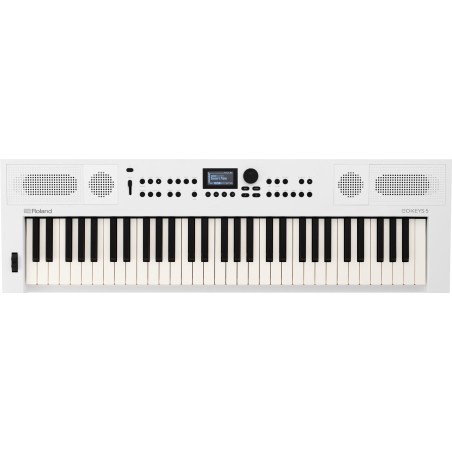 ROLAND GO:61KEYS 5 WH SYNTHESIZER
