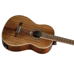 ORTEGA RE30TH-ACA 30th Anniversary GITARA ELEKTRO-KLASIČNA