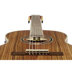 ORTEGA RE30TH-ACA 30th Anniversary GITARA ELEKTRO-KLASIČNA