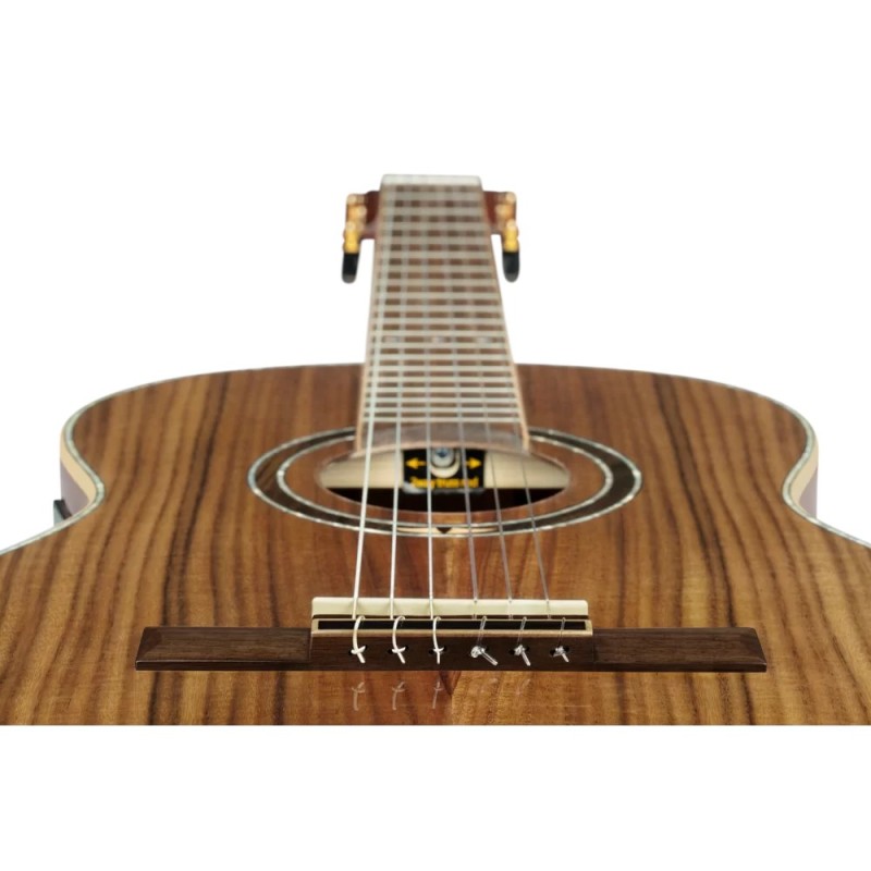 ORTEGA RE30TH-ACA 30th Anniversary GITARA ELEKTRO-KLASIČNA
