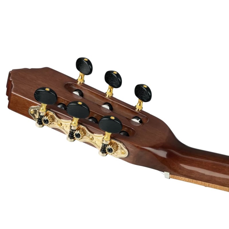 ORTEGA RE30TH-ACA 30th Anniversary GITARA ELEKTRO-KLASIČNA