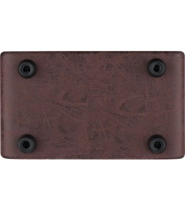 ORTEGA PTWO ACOUSTIC 12W POJAČALO