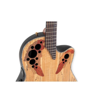 OVATION CELEBRITY ELITE CE44P-SM SPALTED MAPLE EXOTIC GITARA ELEKTRO-AKUSTIČNA