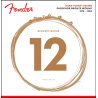 FENDER GITARA AKUSTIČNA 860L PHOSPHOR BRONZE 12-53 ŽICE