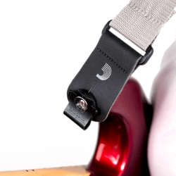 D'ADDARIO PW-DLC-01 DUAL-LOCK STRAP CLIP SET STRAPLOCK
