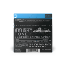 D'ADDARIO ELEKTRIKA EXL110 10-46 ŽICE