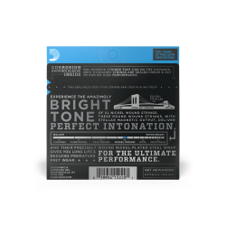 D'ADDARIO ELEKTRIKA EXL110+ 10.5-48 ŽICE