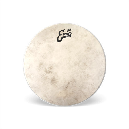 EVANS TT18C7 18" CALFTONE PLASTIKA