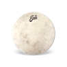 EVANS TT18C7 18" CALFTONE PLASTIKA
