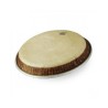 REMO M4-1225-LP conga PLASTIKA B-STOCK