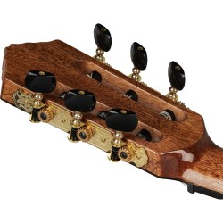 ORTEGA THE PRIVATE ROOM GRANDSUITE 4/4 GITARA KLASIČNA