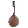 GEWA PRO ARTE ANTIQUE 505.398 MANDOLINA