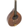 GEWA PRO ARTE ANTIQUE 505.398 MANDOLINA