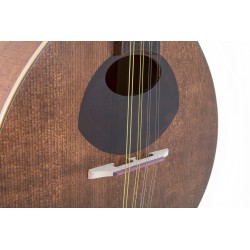 GEWA PRO ARTE ANTIQUE 505.398 MANDOLINA