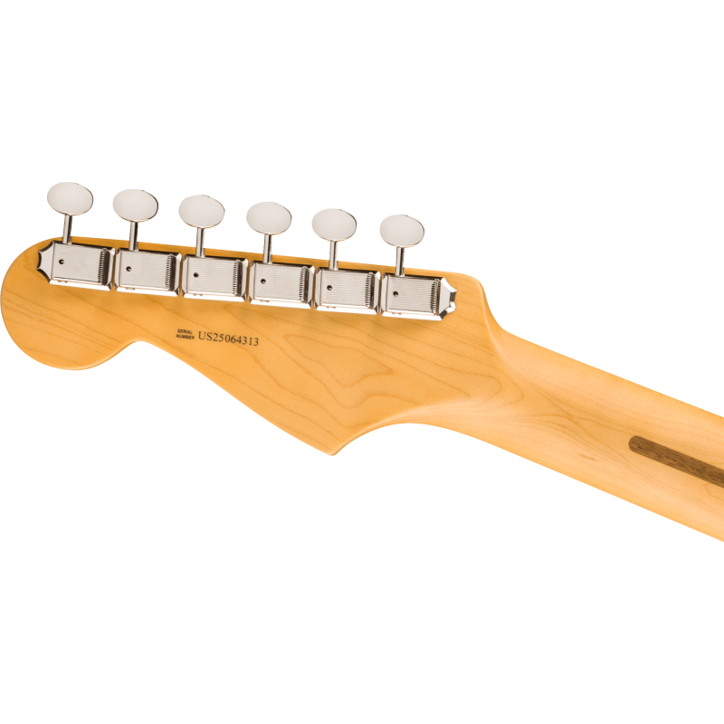 FENDER AMERICAN PRO CLASSIC STRATOCASTER HSS RW FSGM GITARA ELEKTRIČNA