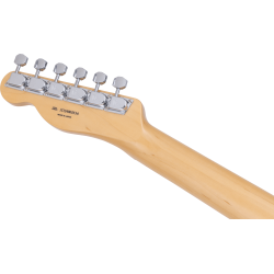 FENDER LTD TELECASTER MN BLACK PAISLEY JP-25 JAPAN GITARA ELEKTRIČNA