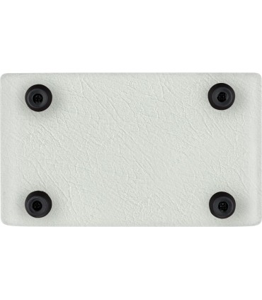 ORTEGA PTWO ACOUSTIC 12W white edition POJAČALO