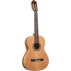 ORTEGA R20GSNRG TRADITIONAL SERIES 4/4 GITARA KLASIČNA