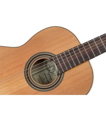 ORTEGA R20GSNRG TRADITIONAL SERIES 4/4 GITARA KLASIČNA
