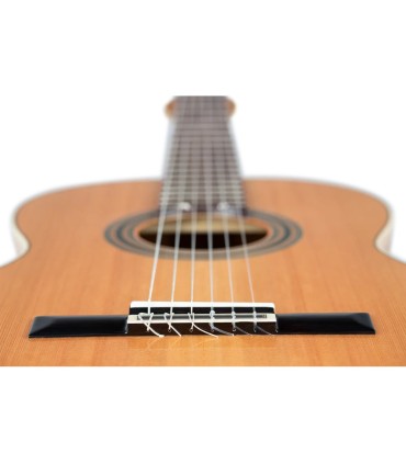 ORTEGA R20GSNRG TRADITIONAL SERIES 4/4 GITARA KLASIČNA